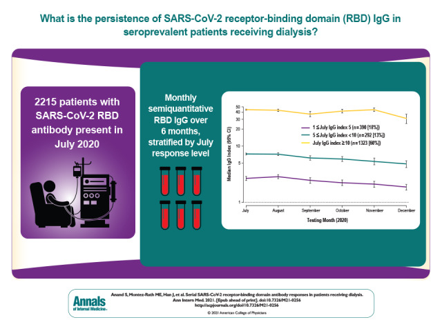 Visual Abstract. SARS-CoV-2 Immune Response in Dialysis. In a large cohort of persons receiving dialysis who had evidence of SARS-CoV-2 infection, the persistence over time of SARS-CoV-2 receptor-binding domain IgG was determined, and variation by age group, sex, race/ethnicity, and diabetes status was analyzed.