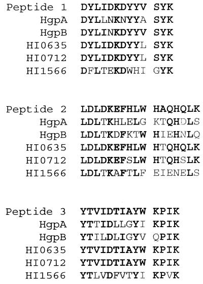 FIG. 9