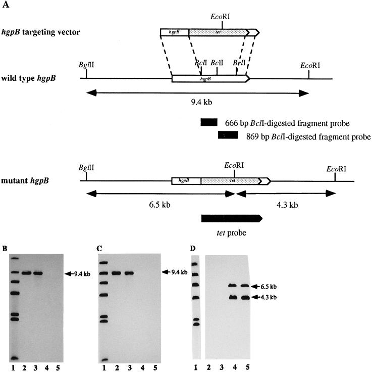 FIG. 3