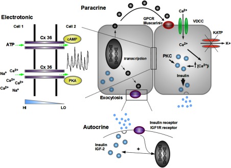 Figure 2.