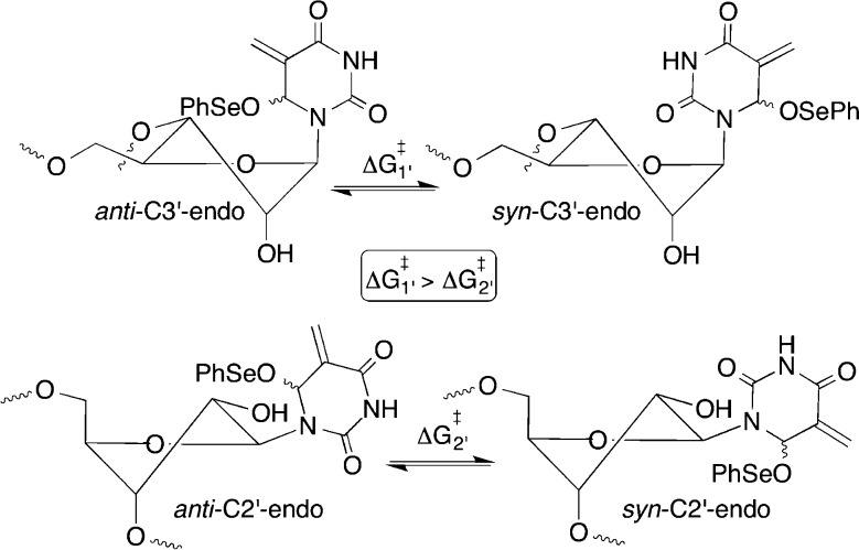 Scheme 3