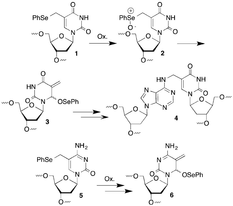 Scheme 1