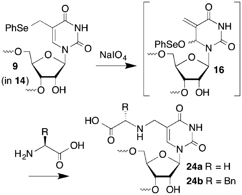 Scheme 4