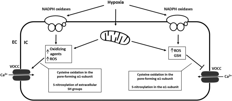 FIG. 4.