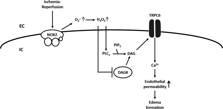 FIG. 6.