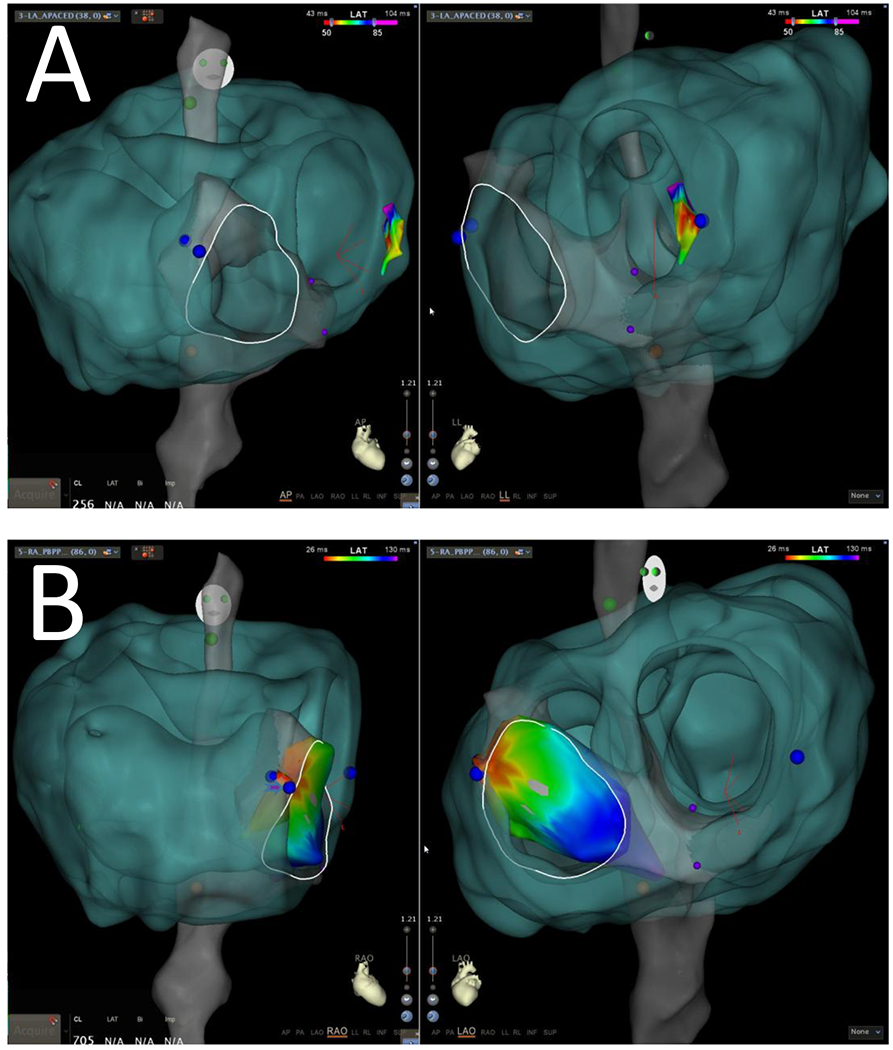 Figure 2: