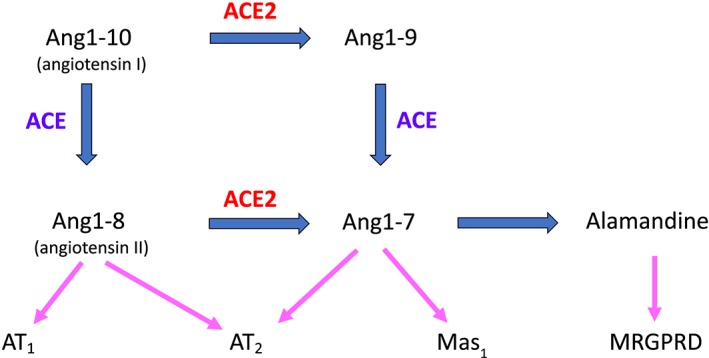 FIGURE 2