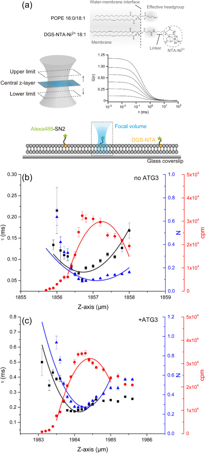 FIGURE 3