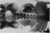 763