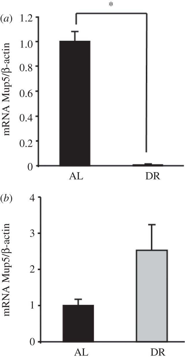 Figure 3.