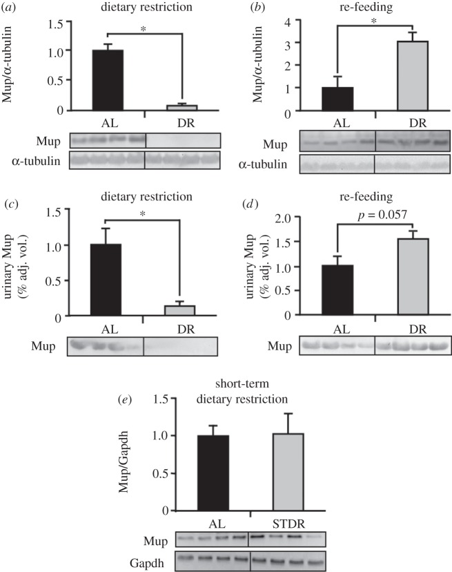 Figure 4.