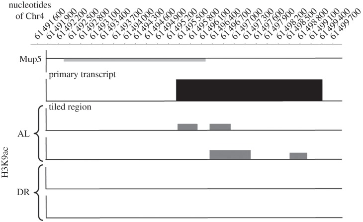 Figure 6.