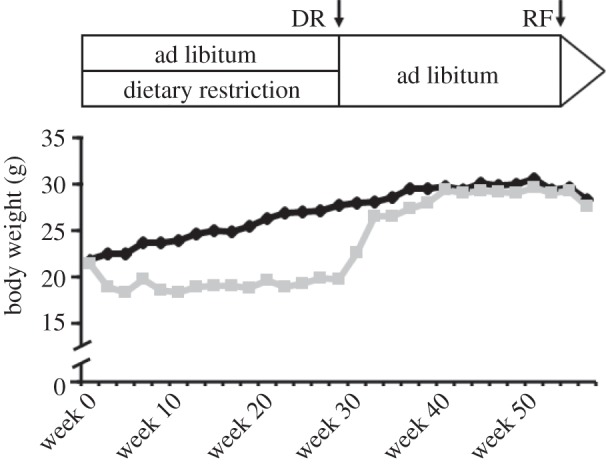 Figure 1.