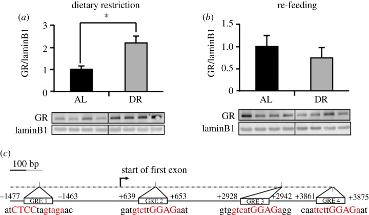 Figure 5.