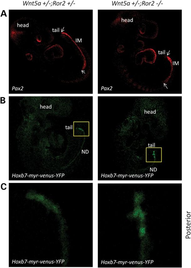 Figure 6.