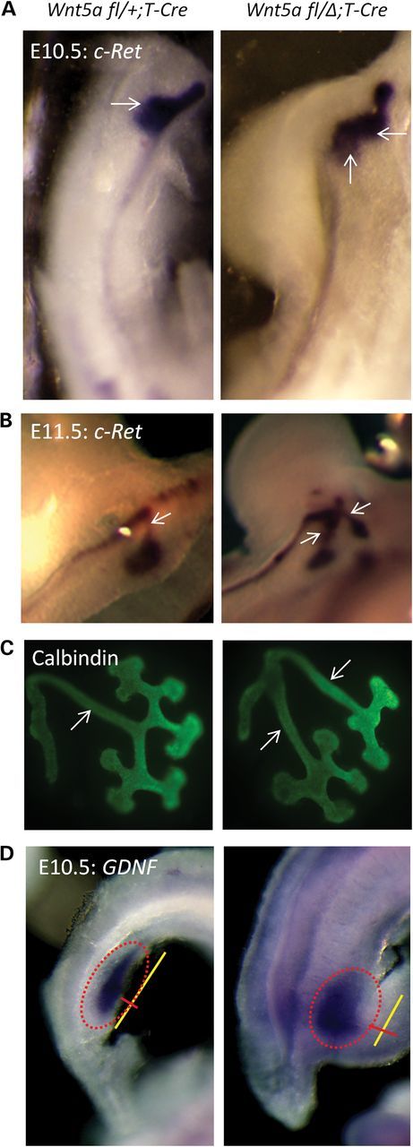 Figure 2.