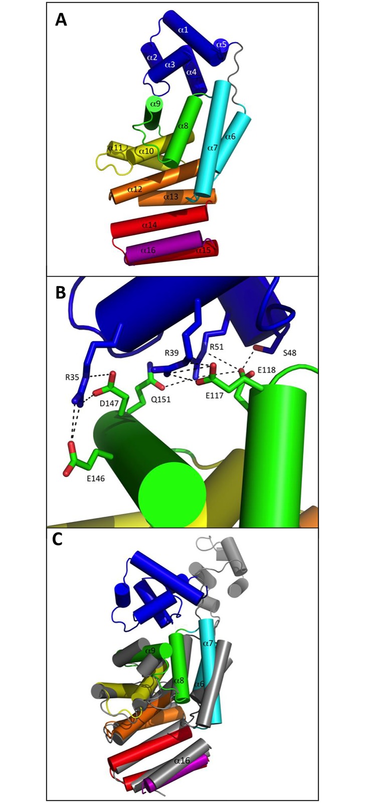 Fig 4