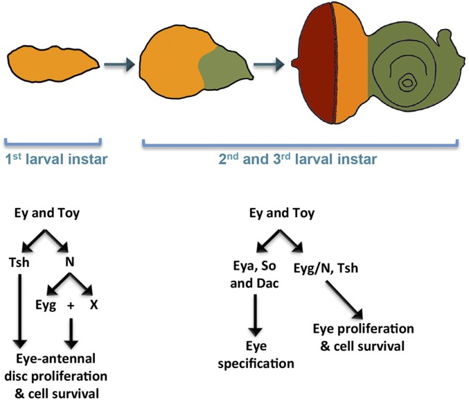 Fig. 8.