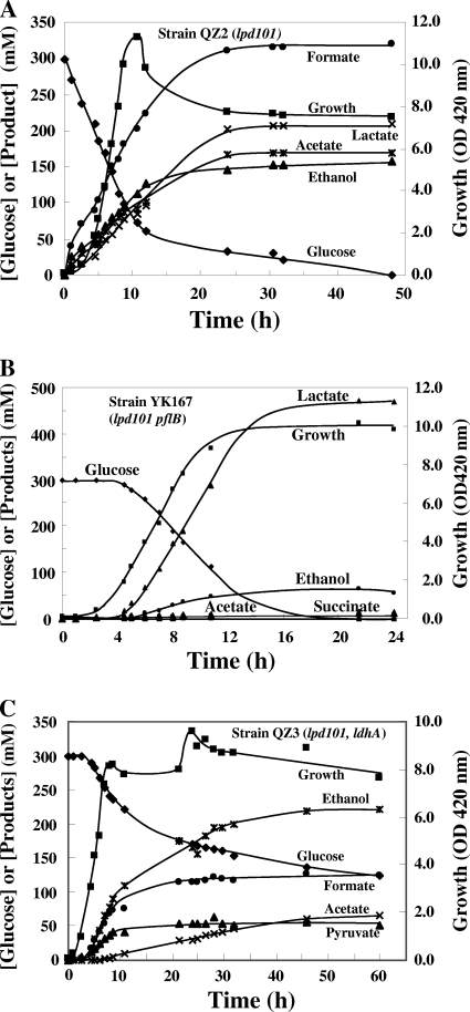 FIG. 3.