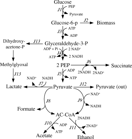 FIG. 2.