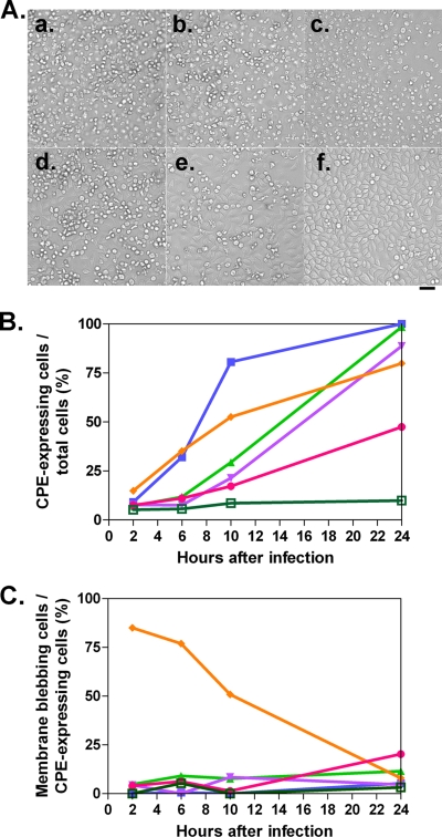 FIG. 7.