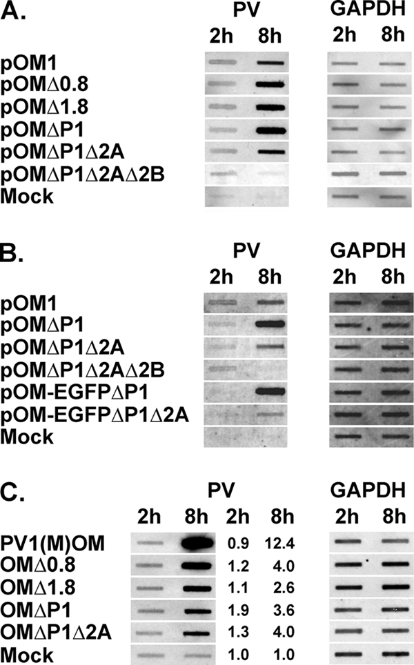 FIG. 6.