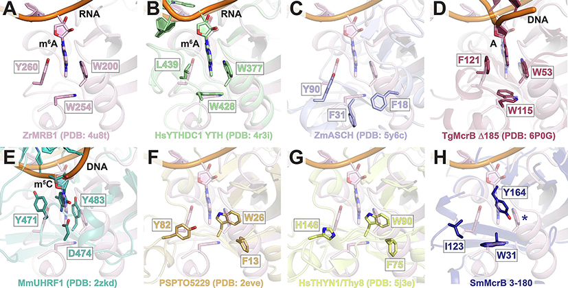 Figure 6.