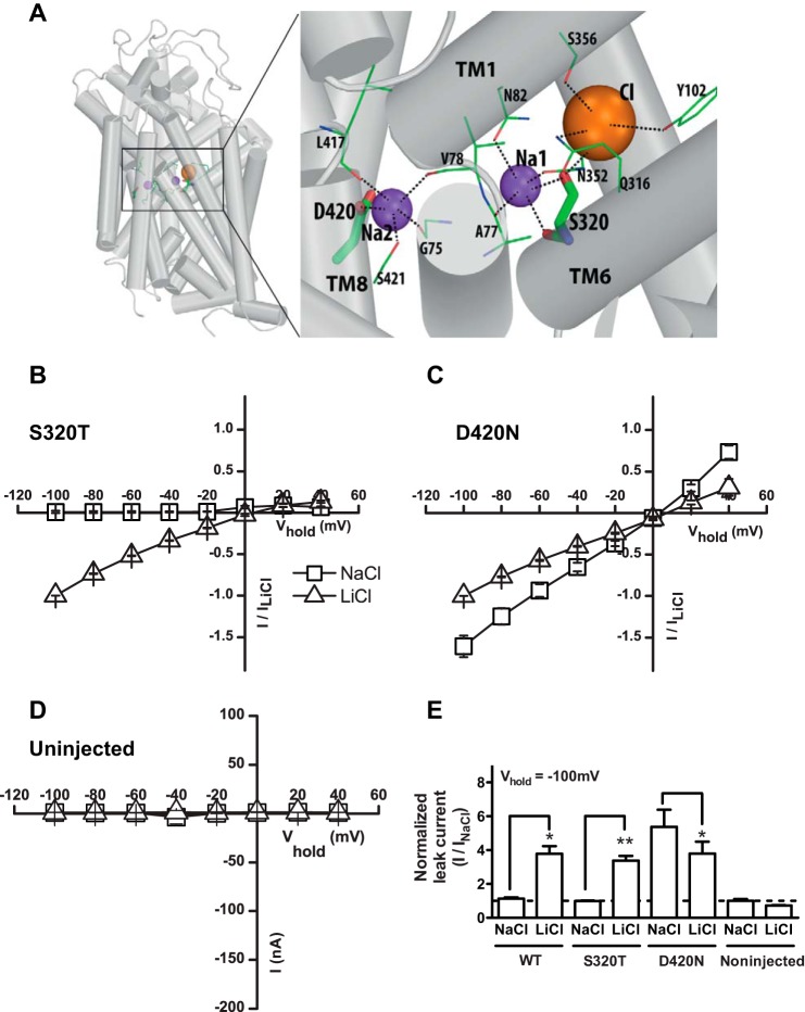 FIGURE 4.