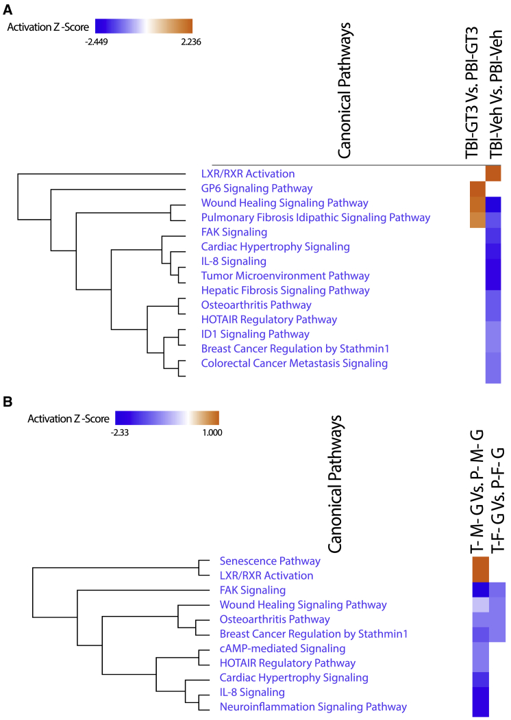 Figure 6