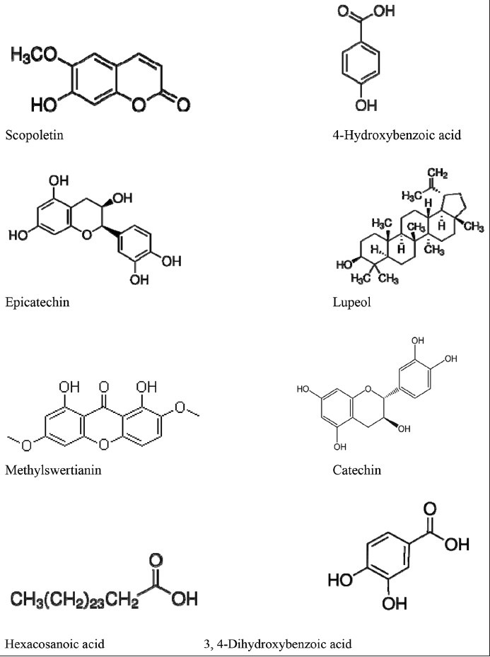 Figure 1c