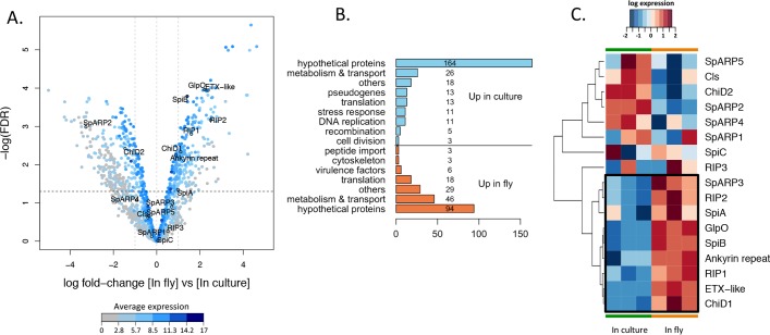 FIG 3 