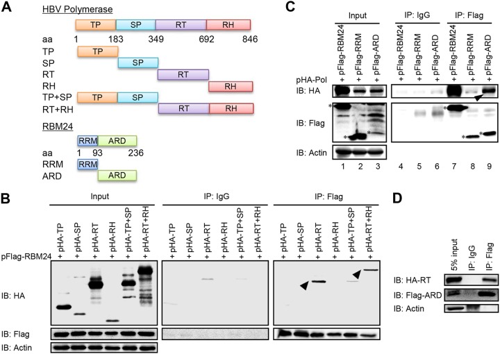 FIG 3