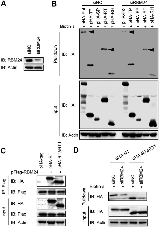 FIG 5