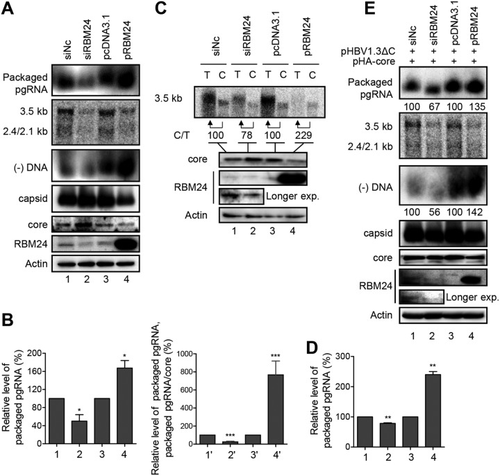 FIG 6