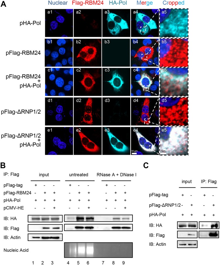 FIG 2