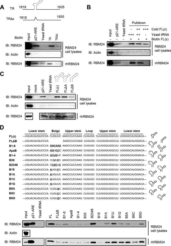 FIG 1