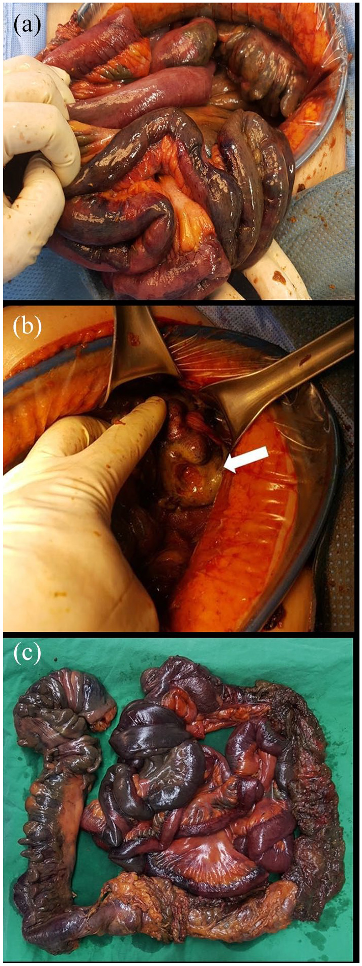 Figure 5.