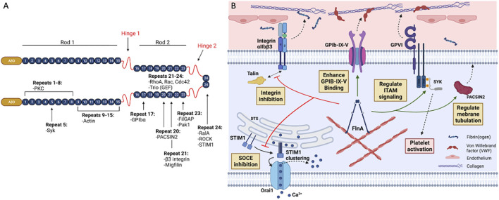 FIGURE 1