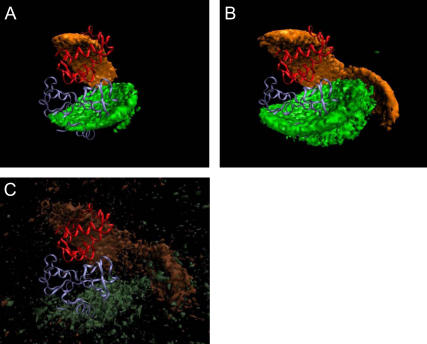 FIGURE 3