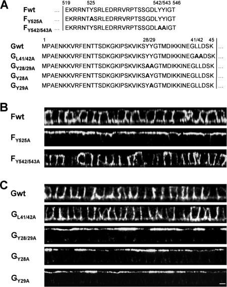 FIG. 5.