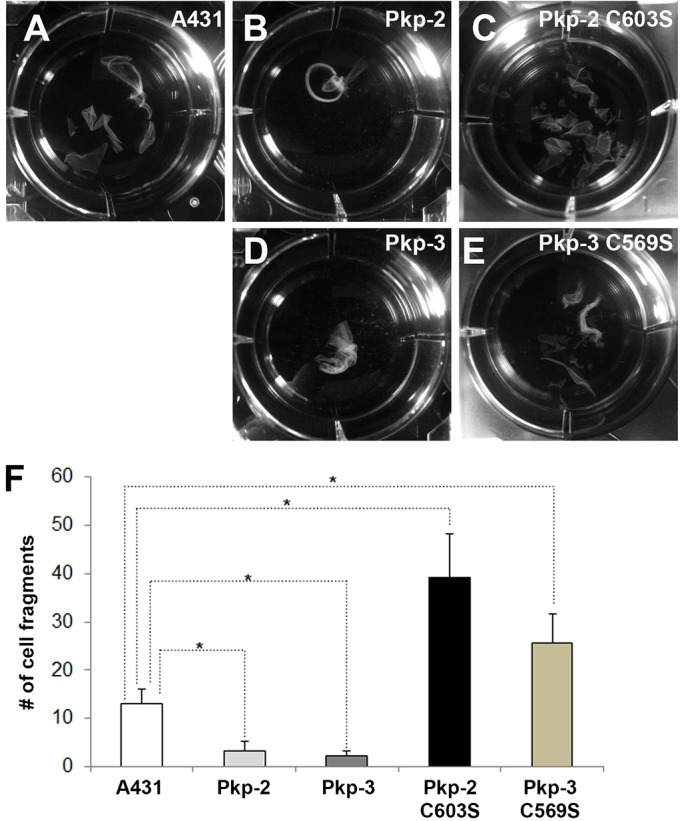 Fig. 8.