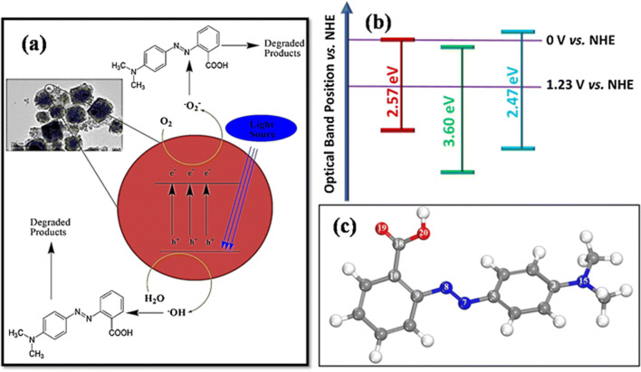 Fig. 12