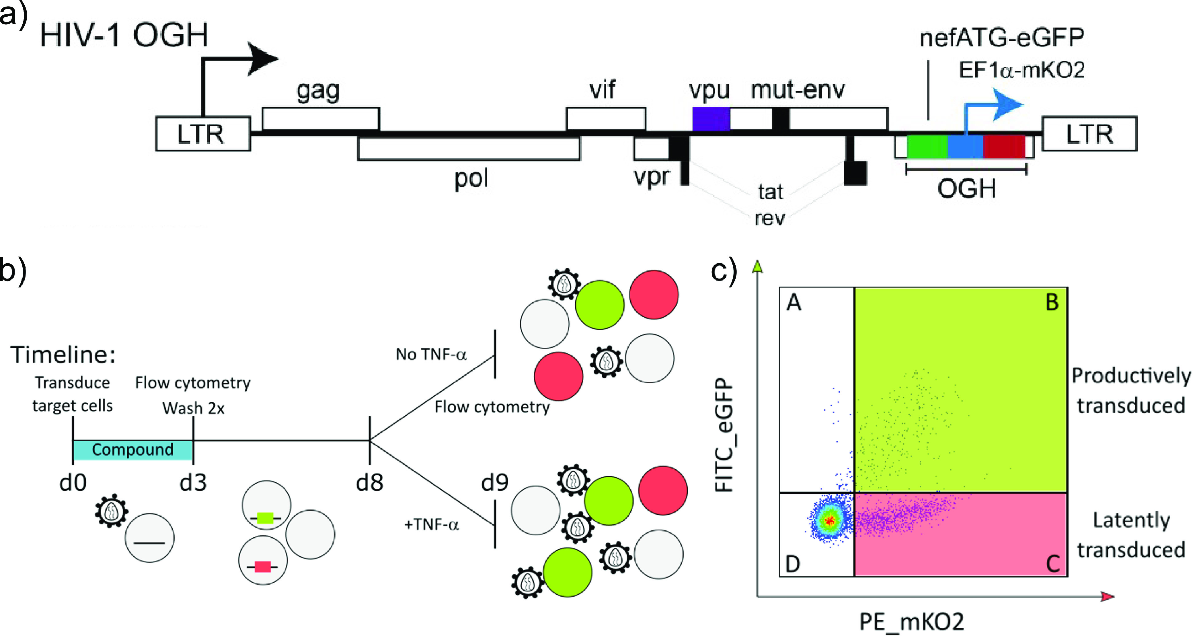 FIG 3