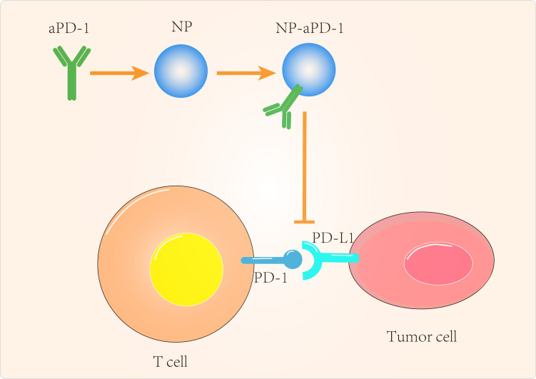 Figure 2