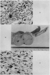 192-7