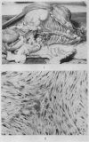 192-1