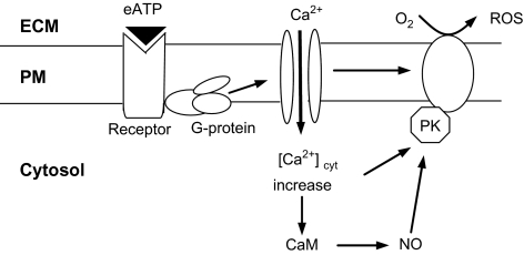 Fig. 9.