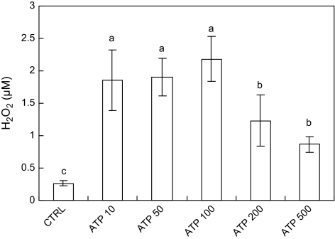 Fig. 5.