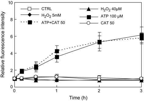 Fig. 7.