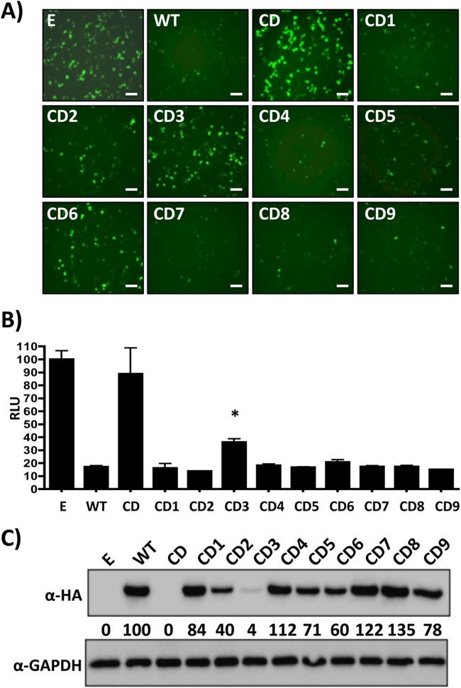 FIG 3